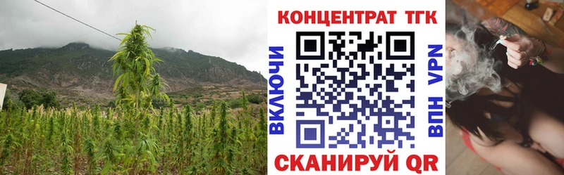 дарнет шоп  ОМГ ОМГ как зайти  ТГК вейп  Северобайкальск 