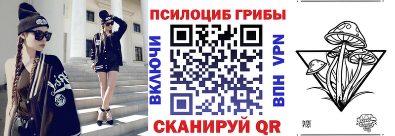 Псилоцибиновые грибы GOLDEN TEACHER Северобайкальск