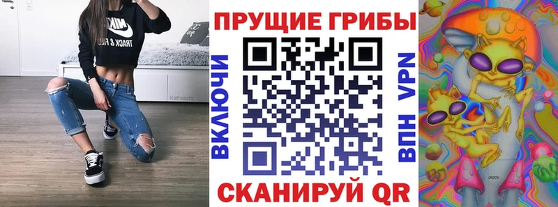 Псилоцибиновые грибы GOLDEN TEACHER  Северобайкальск 